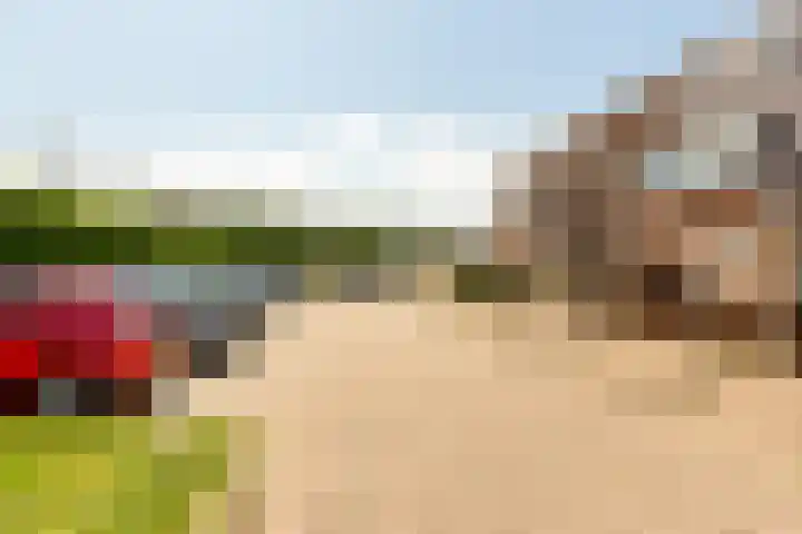 Bosgouw 93 Almere thumbnail 36