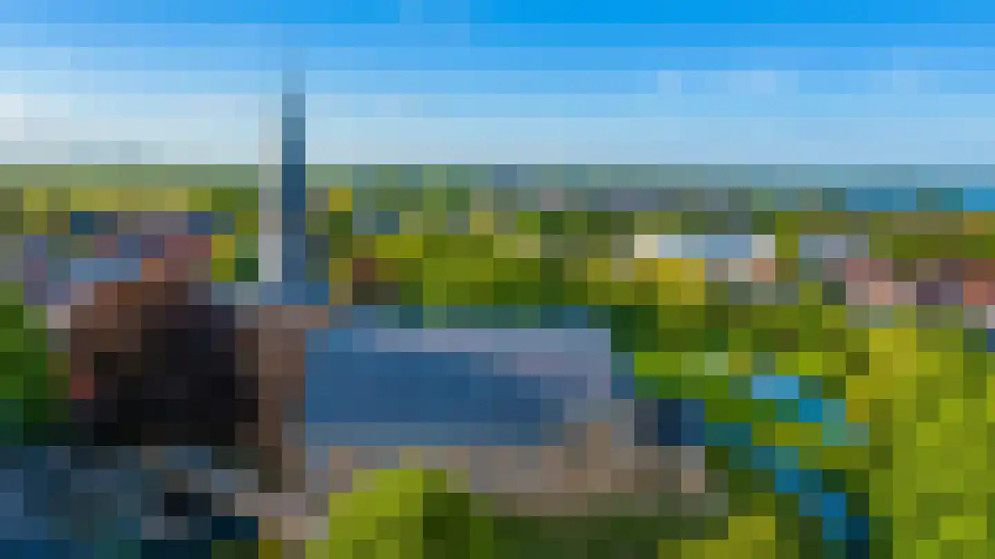 Bosgrachtpad 1 Zevenhuizen thumbnail 26