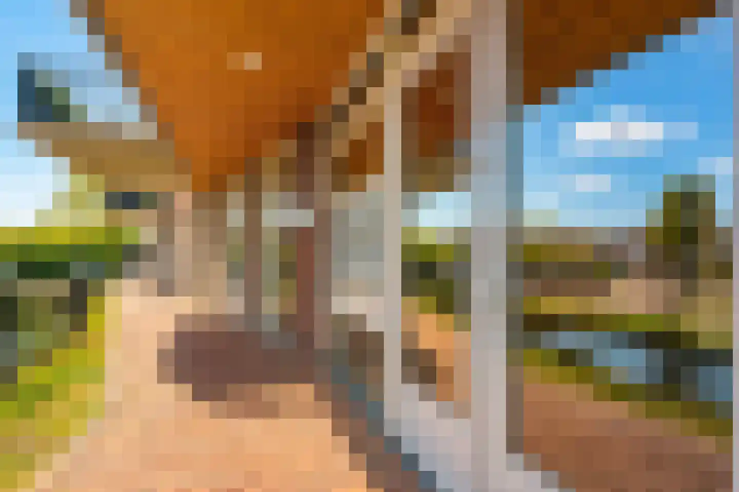 Bosgrachtpad 1 Zevenhuizen thumbnail 4