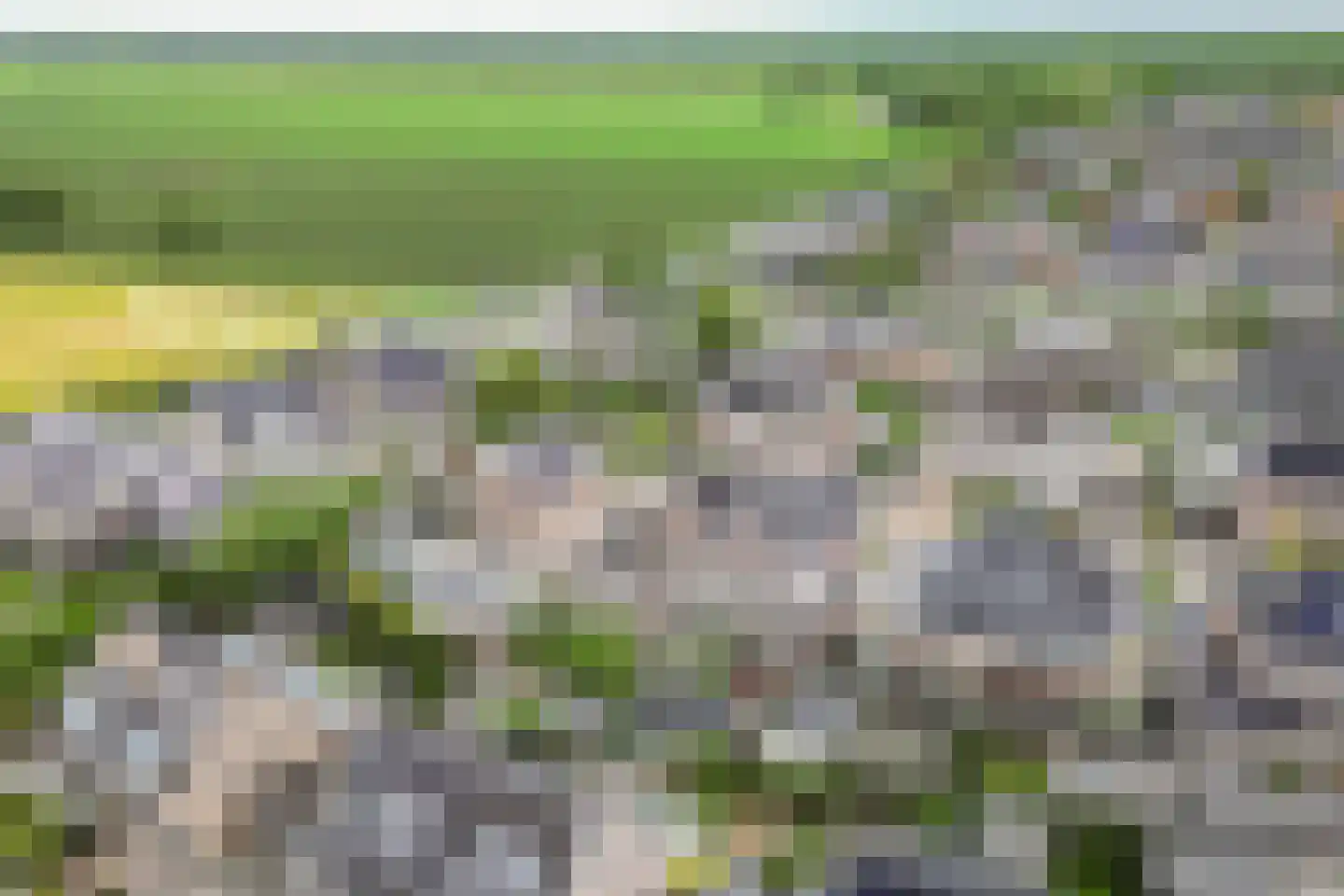 Bosgras 9 Assen thumbnail 10