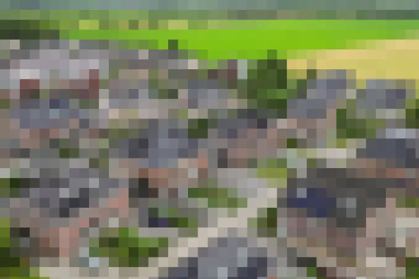 Bosgras 9 Assen thumbnail 11