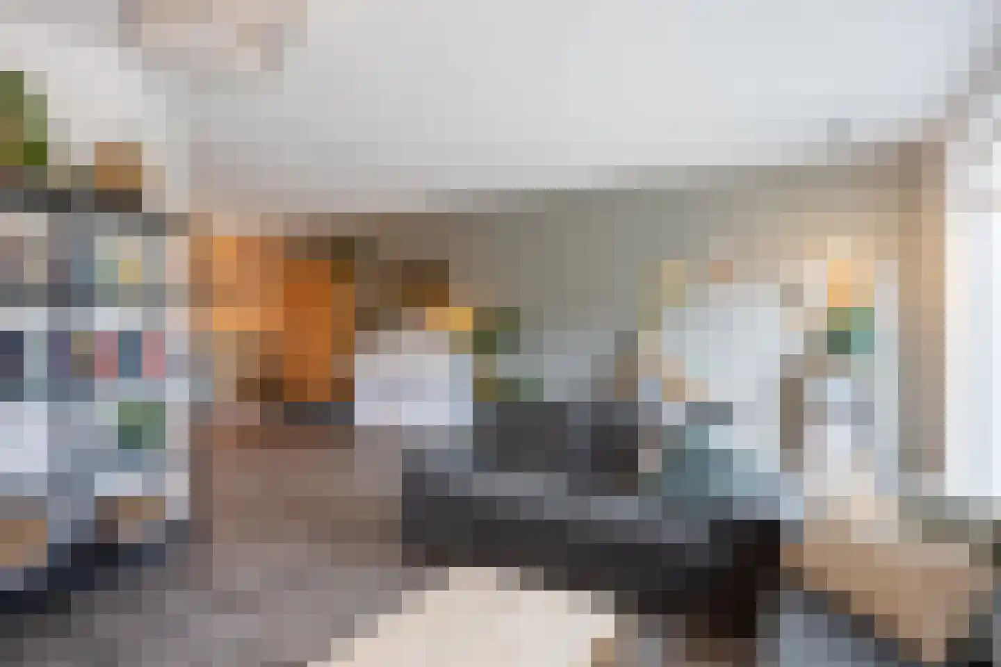 Bosgras 9 Assen thumbnail 25
