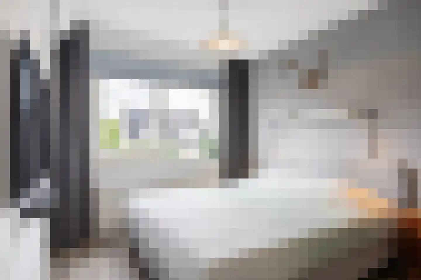 Bosgras 9 Assen thumbnail 37