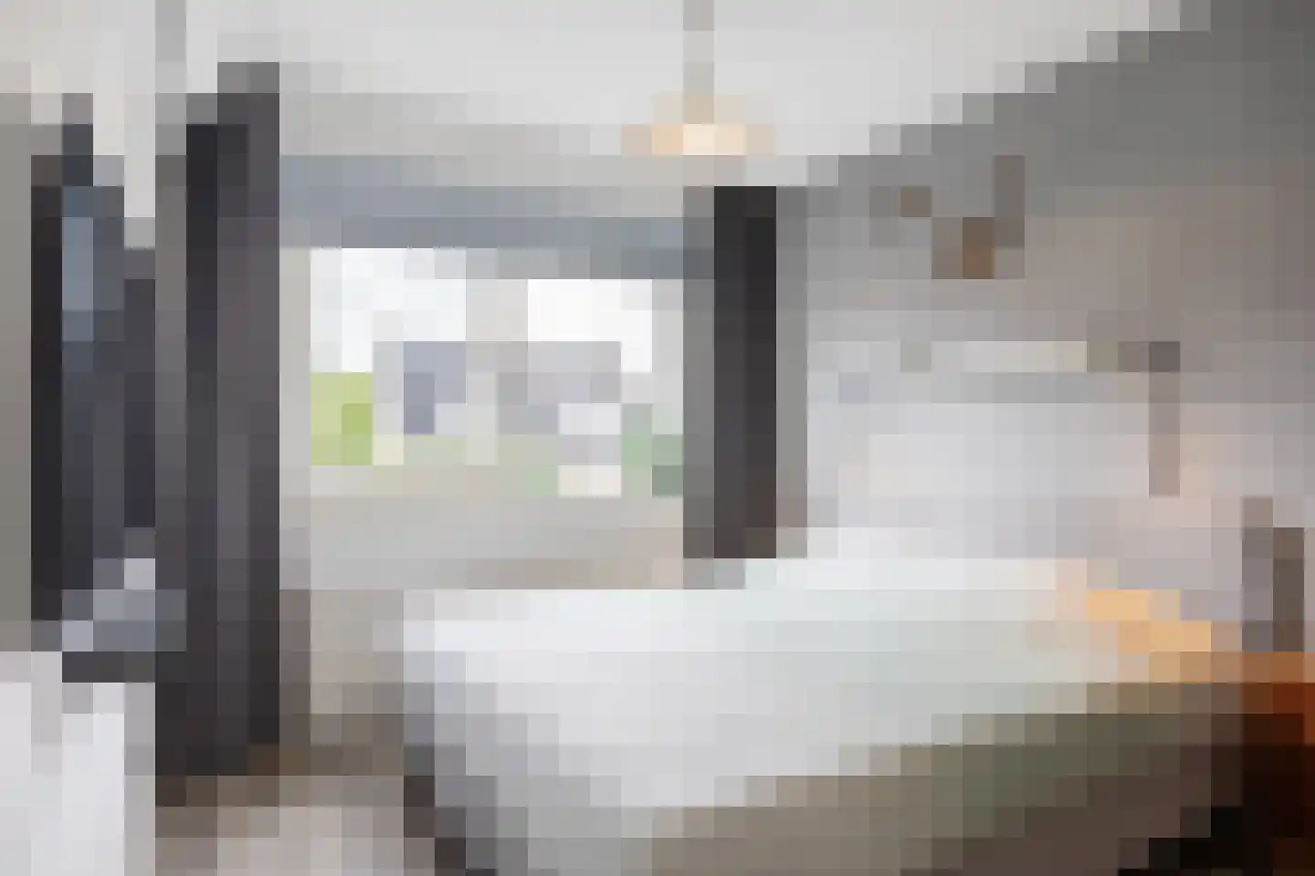 Bosgras 9 Assen thumbnail 5