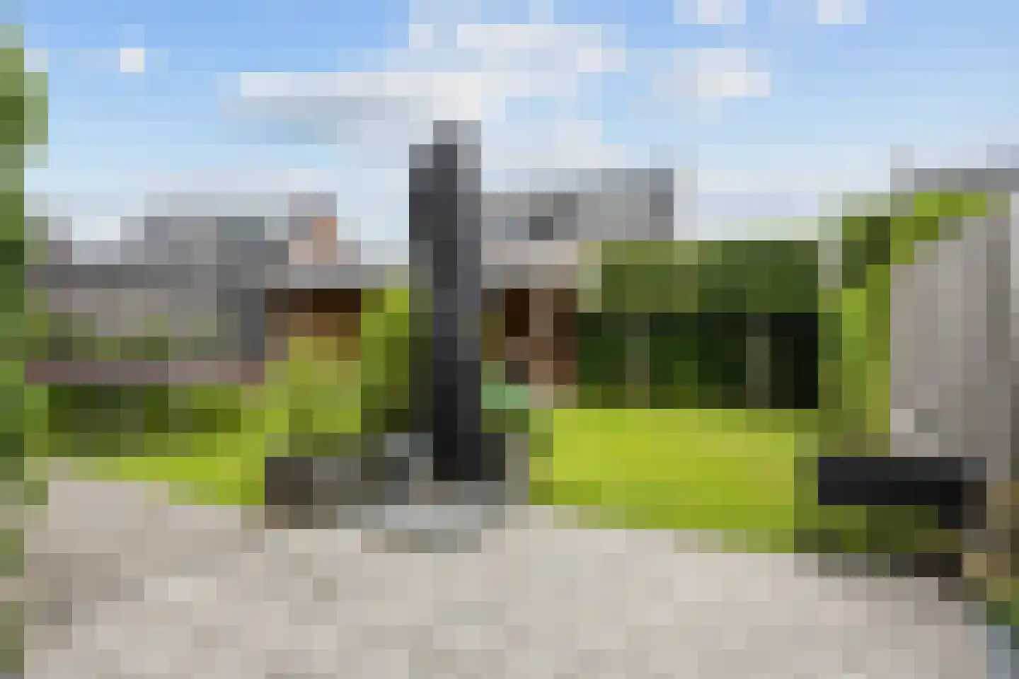 Bosgras 9 Assen thumbnail 62