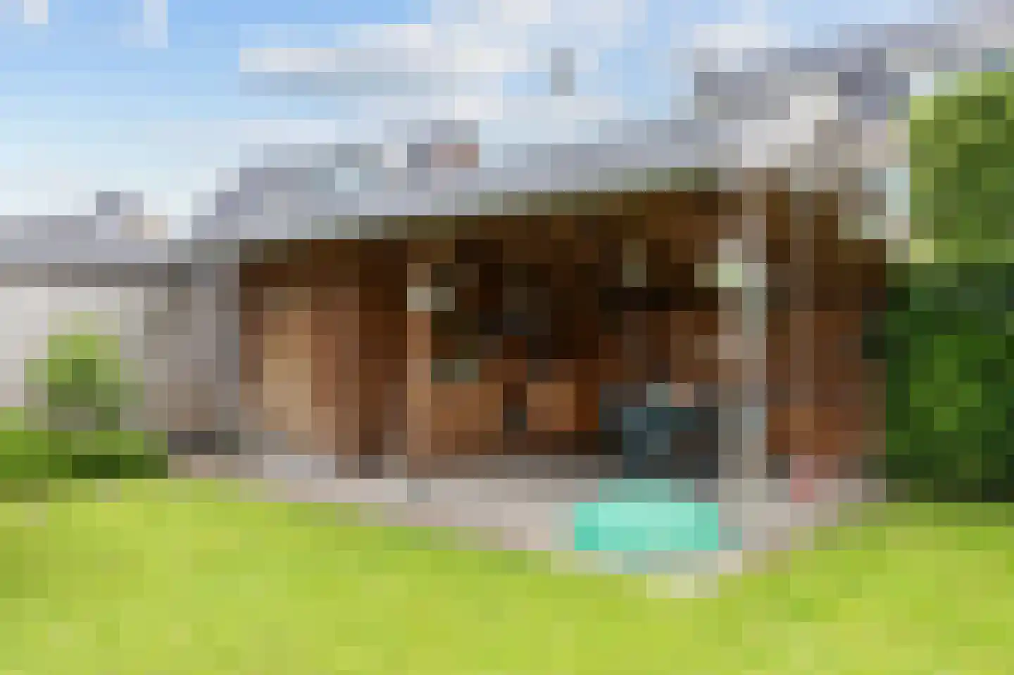 Bosgras 9 Assen thumbnail 63