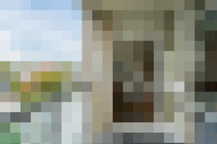 Bosgroet 69 Zuid-Scharwoude thumbnail 15