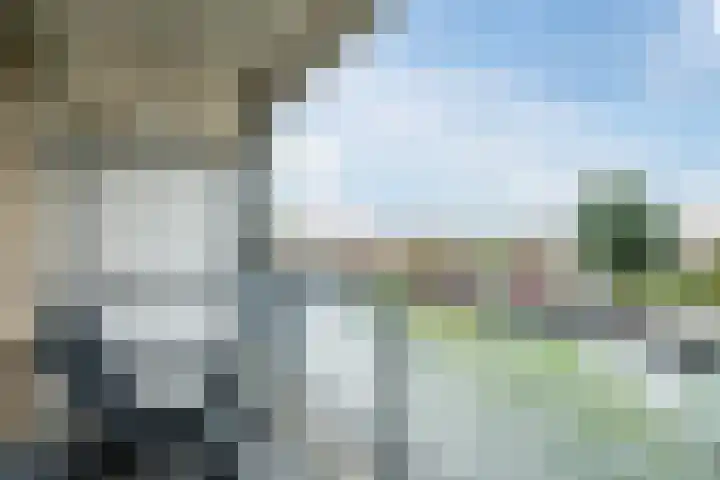 Bosgroet 69 Zuid-Scharwoude thumbnail 16
