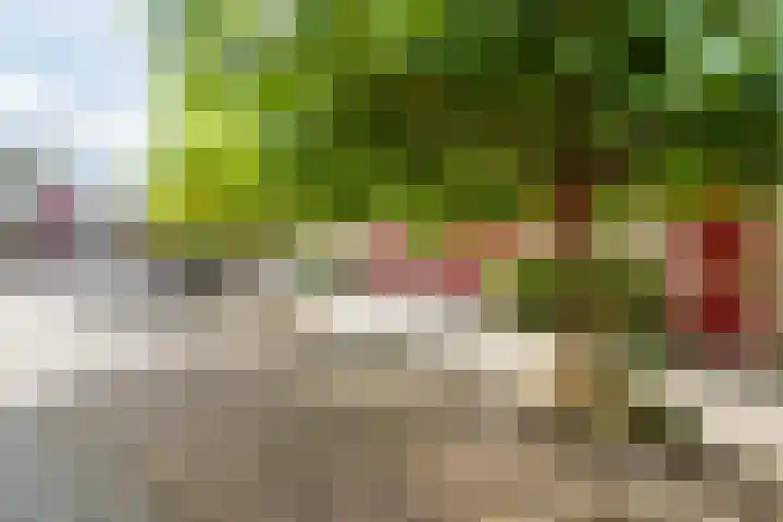 Bosgroet 69 Zuid-Scharwoude thumbnail 37