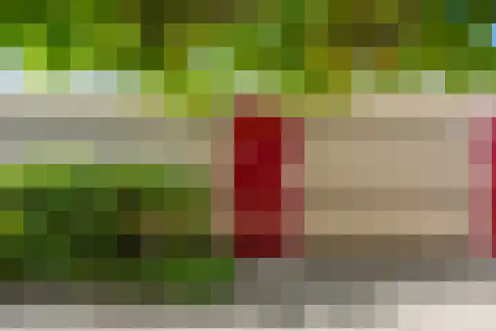 Bosgroet 69 Zuid-Scharwoude thumbnail 38