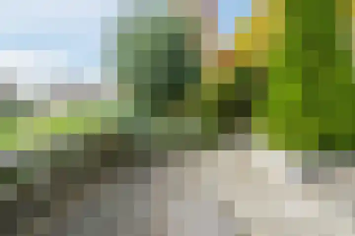 Bosgroet 69 Zuid-Scharwoude thumbnail 40