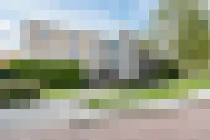 Bosgroet 69 Zuid-Scharwoude thumbnail 45