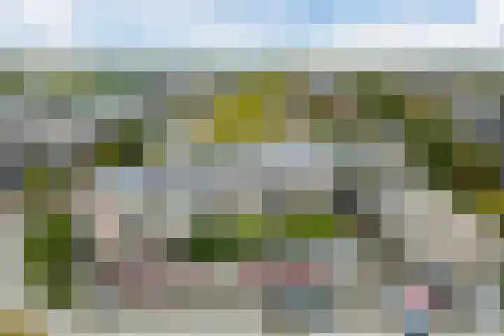 Bosgroet 69 Zuid-Scharwoude thumbnail 47