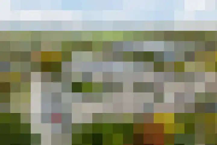 Bosgroet 69 Zuid-Scharwoude thumbnail 48