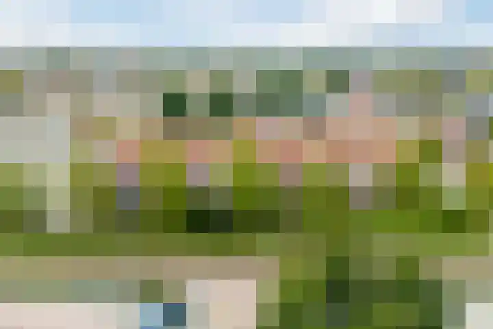 Bosgroet 69 Zuid-Scharwoude thumbnail 49