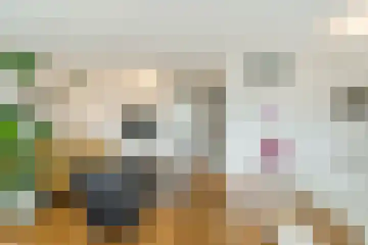 Bosgroet 69 Zuid-Scharwoude thumbnail 6