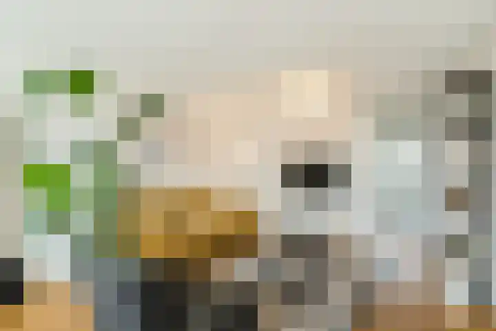 Bosgroet 69 Zuid-Scharwoude thumbnail 7