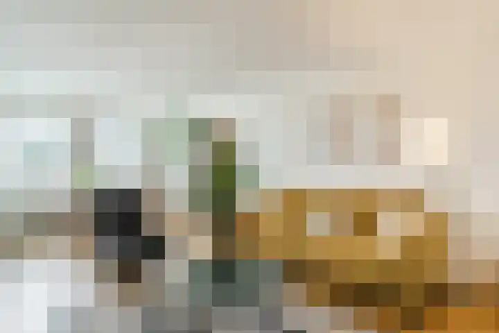 Bosgroet 69 Zuid-Scharwoude thumbnail 8