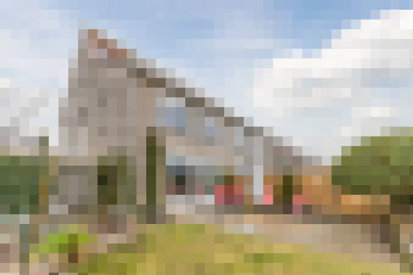 Bosgroet 84 Zuid-Scharwoude thumbnail 37