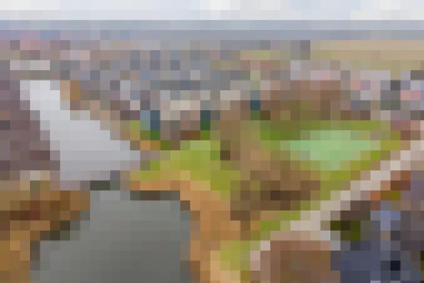 Bosgroet 84 Zuid-Scharwoude thumbnail 41