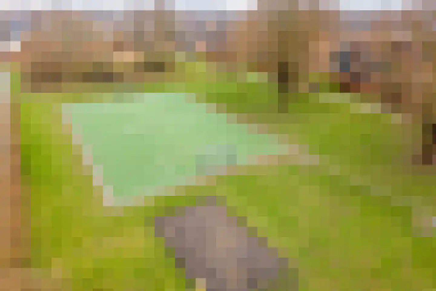Bosgroet 84 Zuid-Scharwoude thumbnail 42
