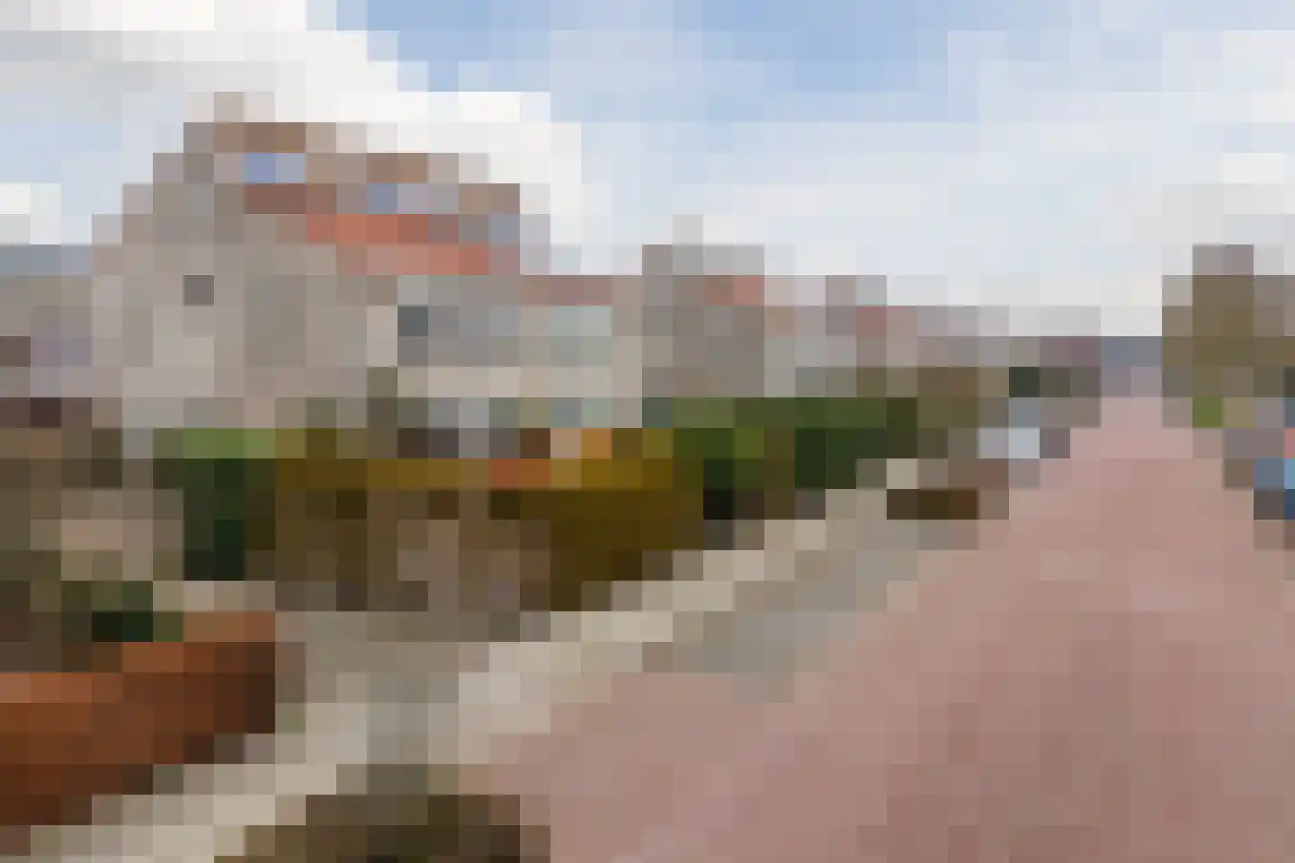 Bosgroet 84 Zuid-Scharwoude thumbnail 45