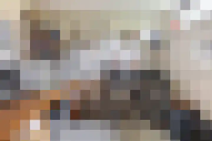 Bosheideweg 2 Kessel thumbnail 21