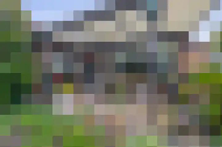 Bosheideweg 2 Kessel thumbnail 26