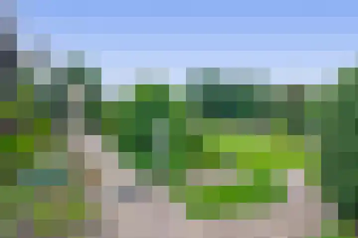 Bosheideweg 2 Kessel thumbnail 29