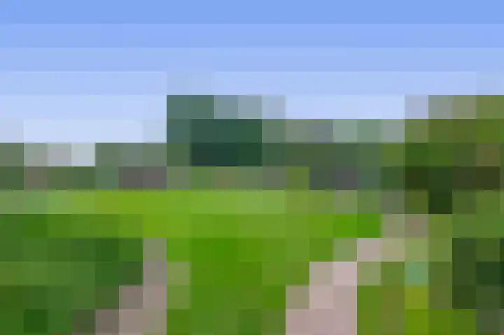Bosheideweg 2 Kessel thumbnail 30