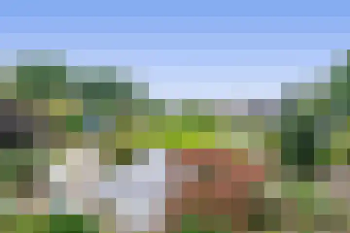 Bosheideweg 2 Kessel thumbnail 32