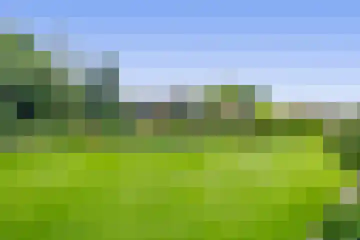 Bosheideweg 2 Kessel thumbnail 37