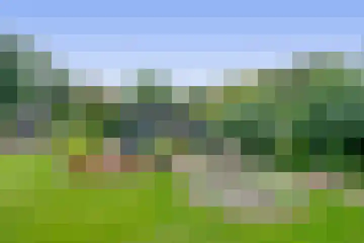 Bosheideweg 2 Kessel thumbnail 38