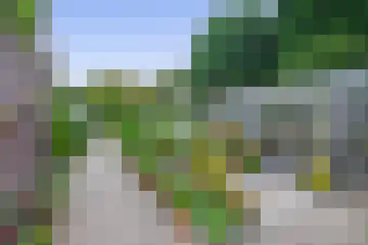 Bosheideweg 2 Kessel thumbnail 42