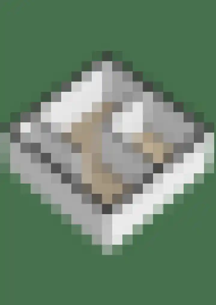 Bosheideweg 2 Kessel thumbnail 61