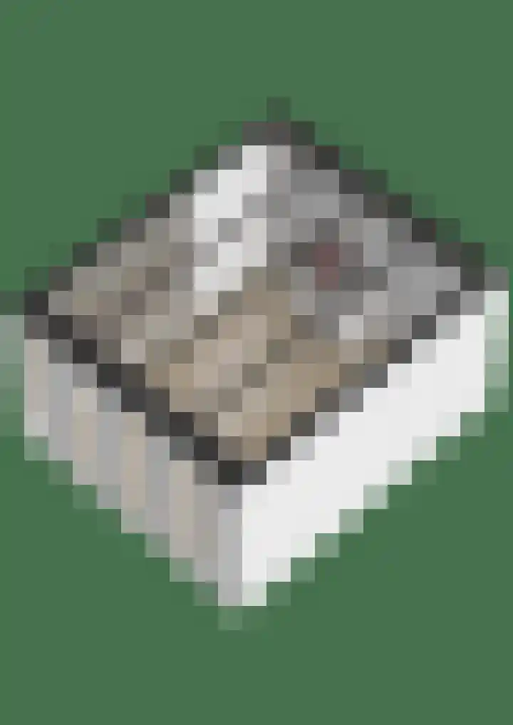 Bosheideweg 2 Kessel thumbnail 63