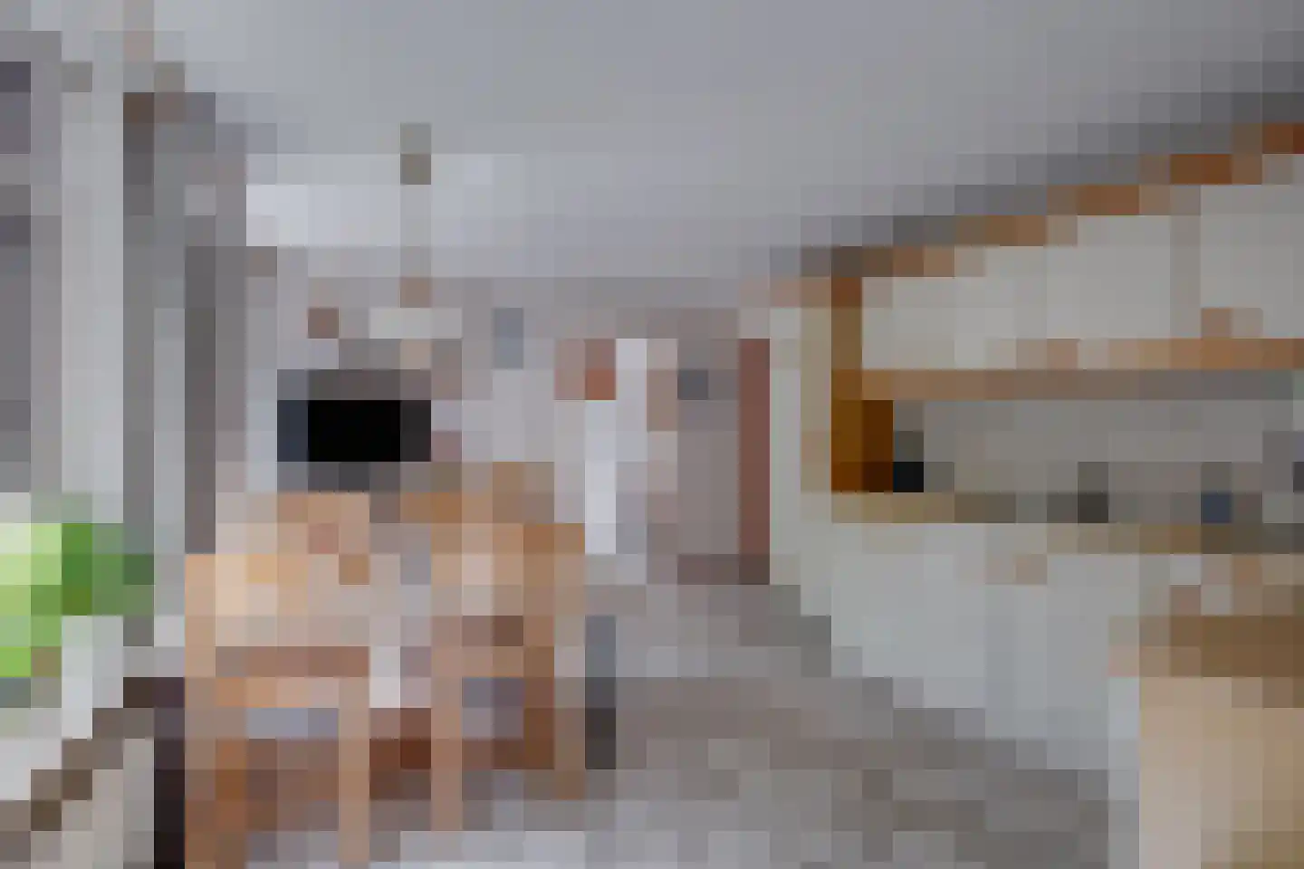 Bosheurneweg 4 Barchem thumbnail 10