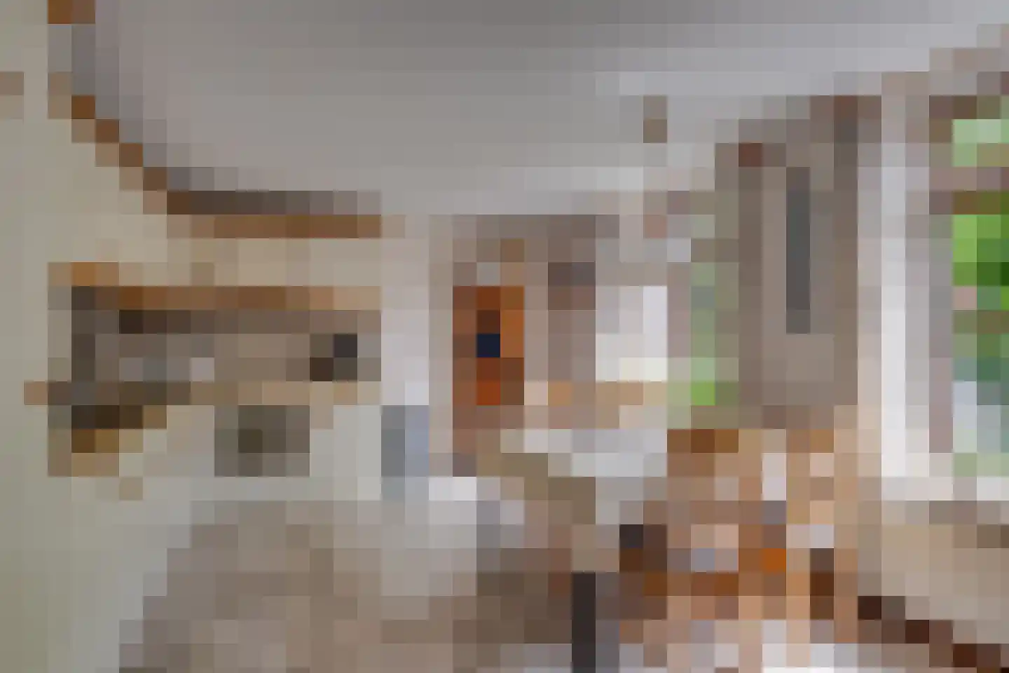 Bosheurneweg 4 Barchem thumbnail 11