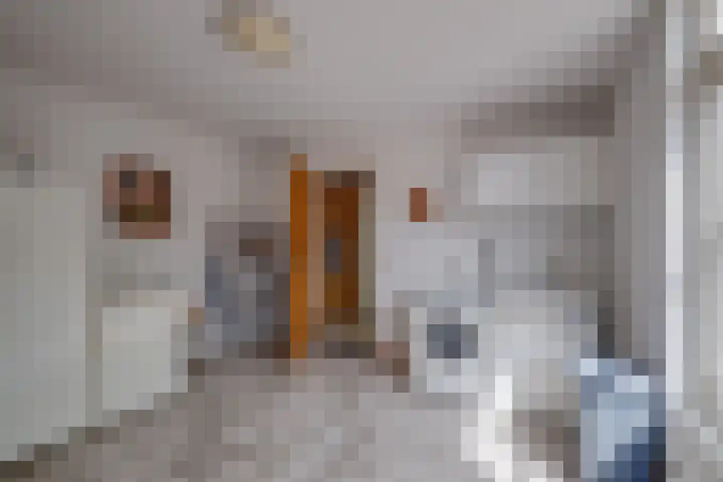 Bosheurneweg 4 Barchem thumbnail 12