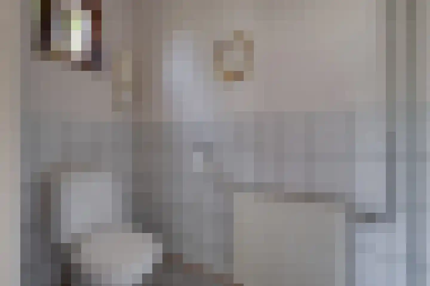 Bosheurneweg 4 Barchem thumbnail 15