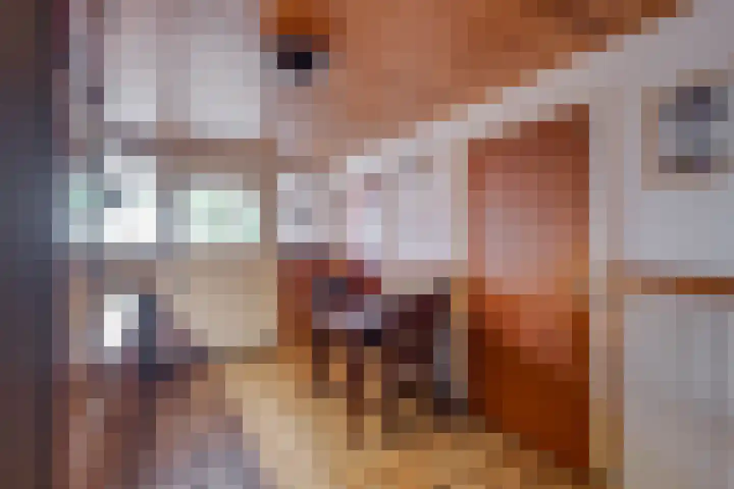 Bosheurneweg 4 Barchem thumbnail 16