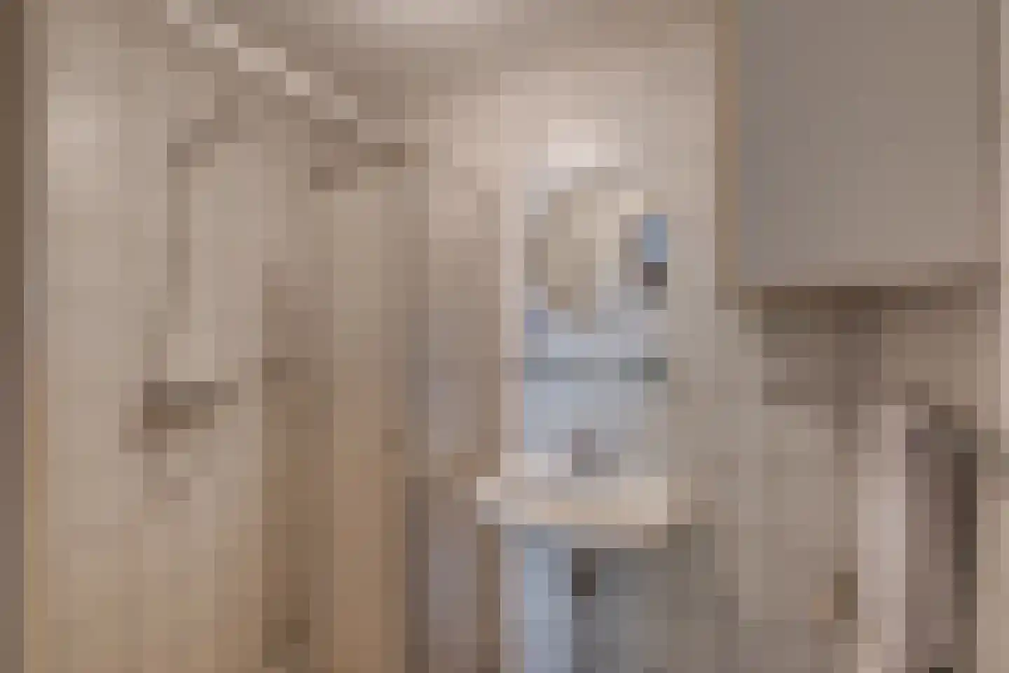 Bosheurneweg 4 Barchem thumbnail 19