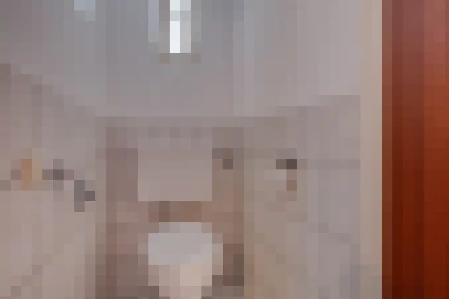 Bosheurneweg 4 Barchem thumbnail 20