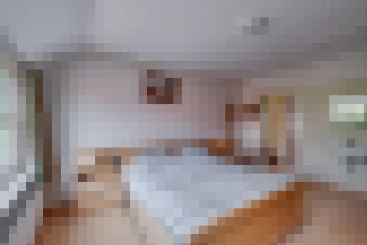Bosheurneweg 4 Barchem thumbnail 23