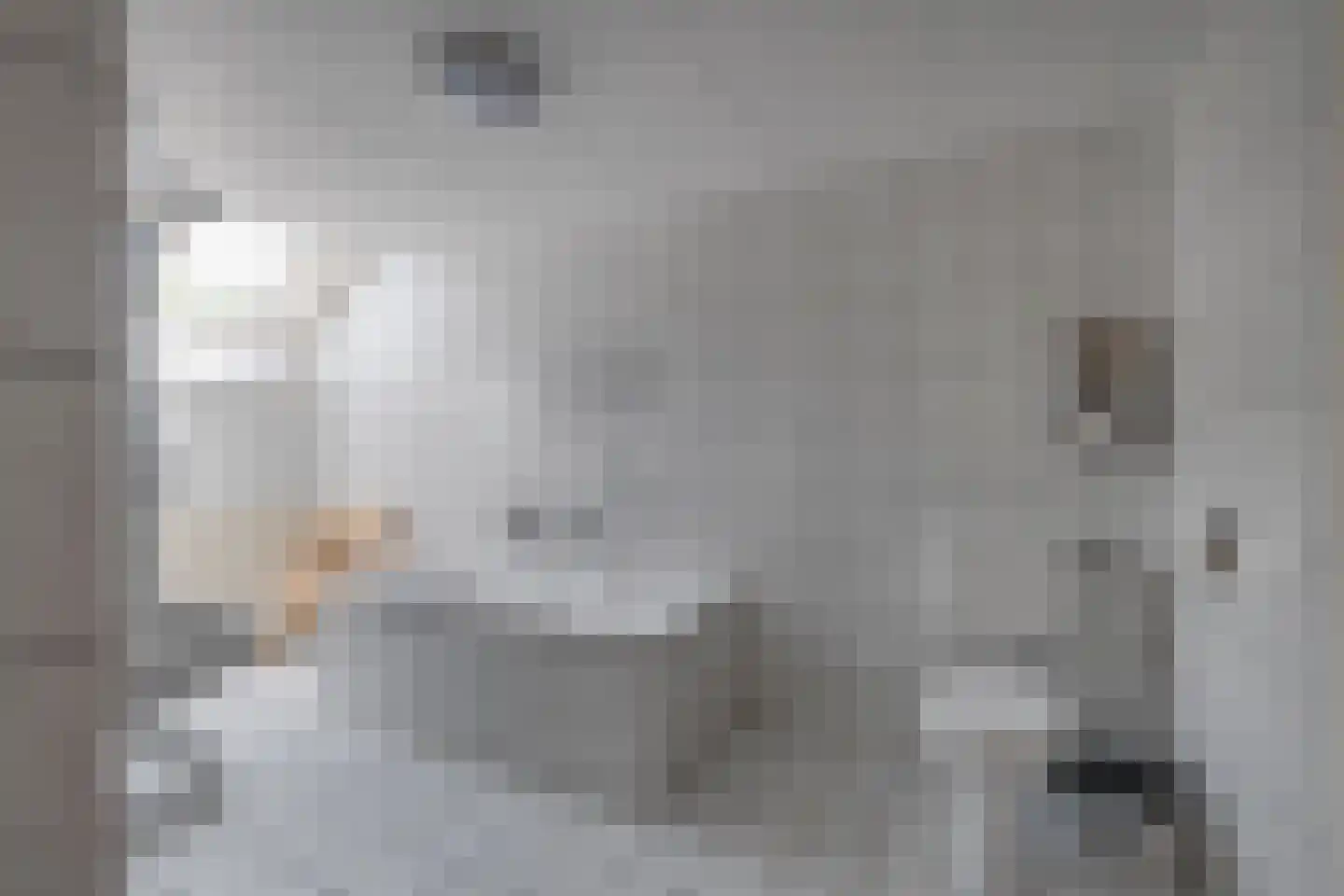 Bosheurneweg 4 Barchem thumbnail 27