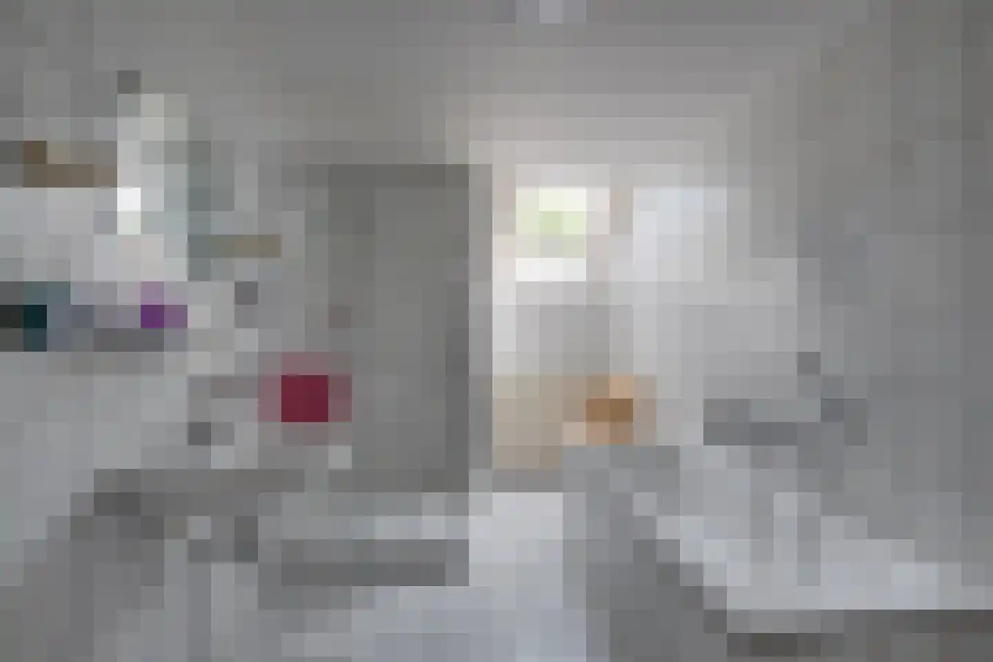 Bosheurneweg 4 Barchem thumbnail 28