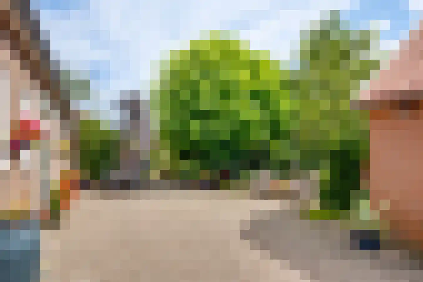 Bosheurneweg 4 Barchem thumbnail 30