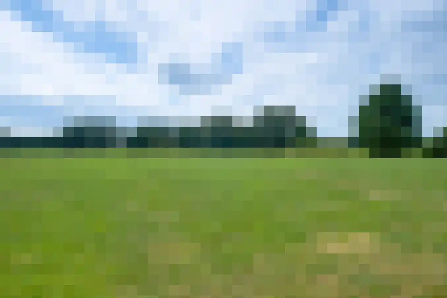 Bosheurneweg 4 Barchem thumbnail 41