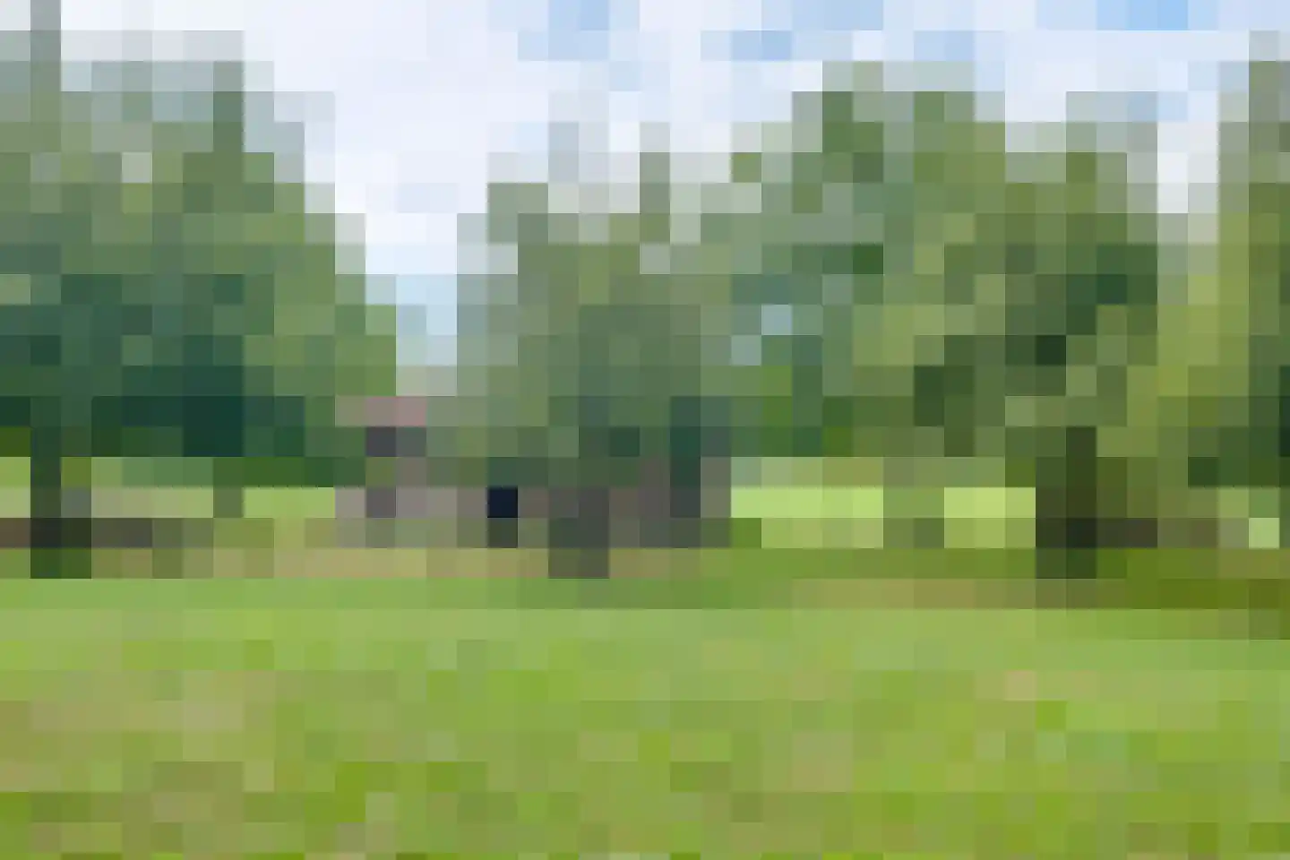 Bosheurneweg 4 Barchem thumbnail 42