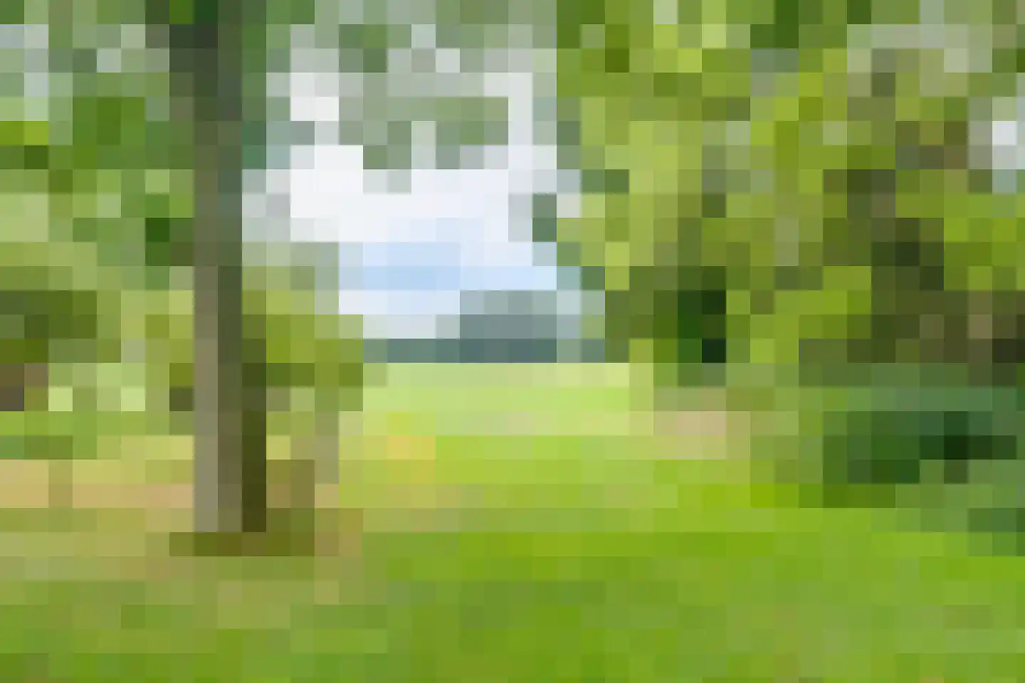 Bosheurneweg 4 Barchem thumbnail 44